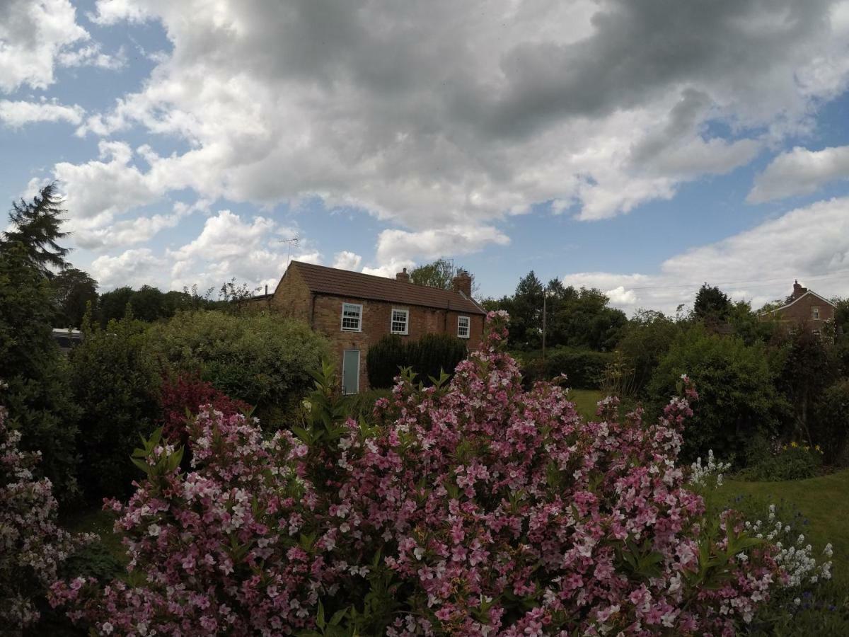 The Vine B & B South Thoresby Exterior photo