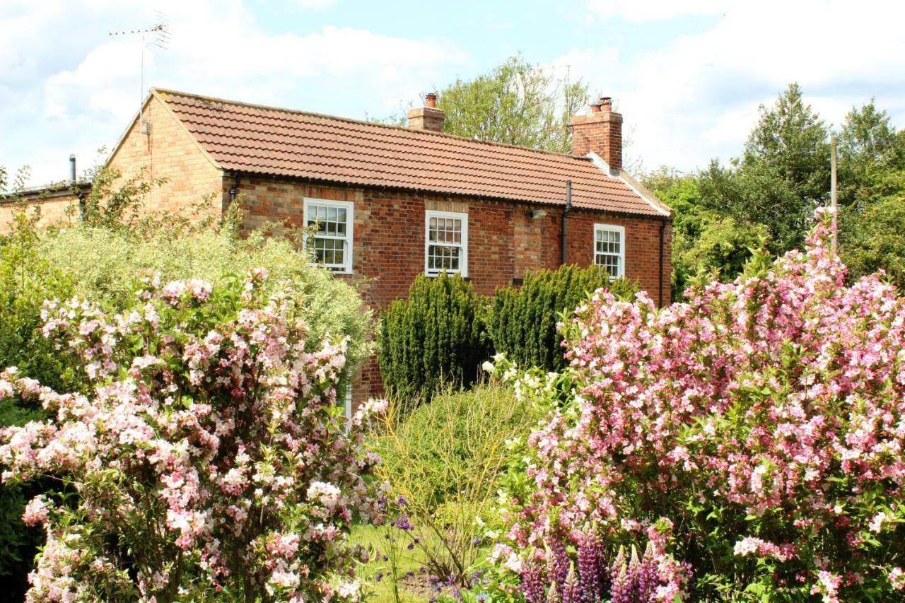 The Vine B & B South Thoresby Exterior photo